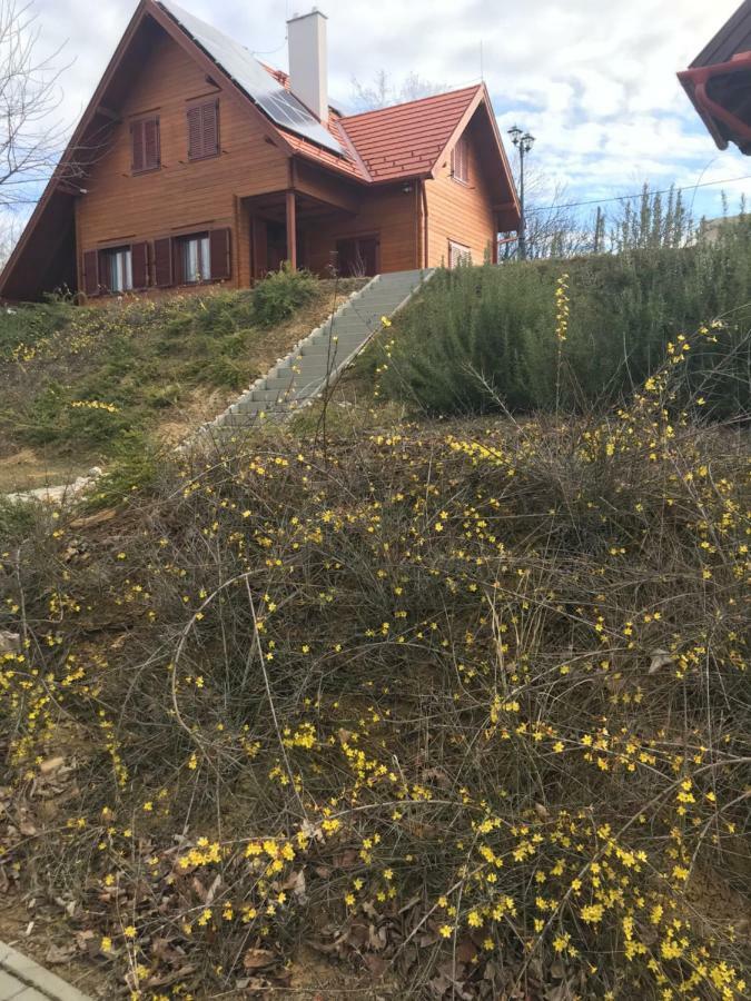Boejti Pince Apartamento Tormafolde Exterior foto
